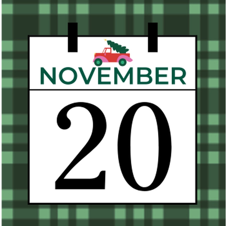 November 20